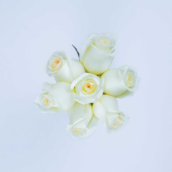 CANDLELIGHT - Image 2