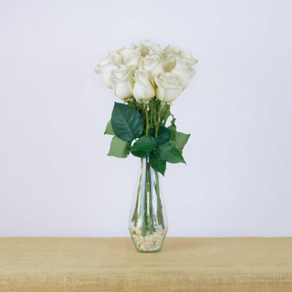 CANDLELIGHT - Image 4