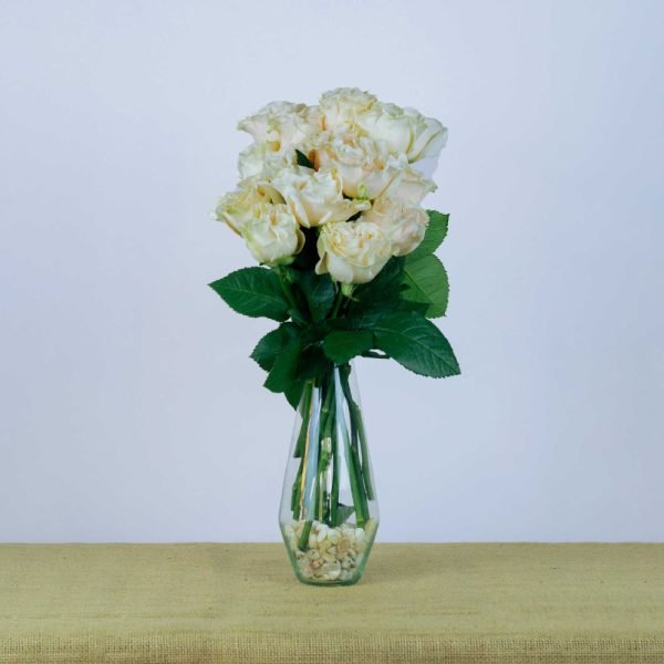 COTTON X-PRESSION - Image 4