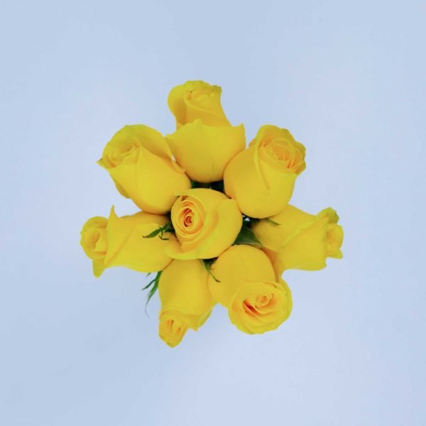 MOMENTUM - Image 3
