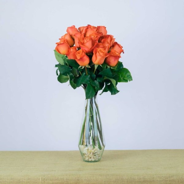 ORANGE CRUSH - Image 4