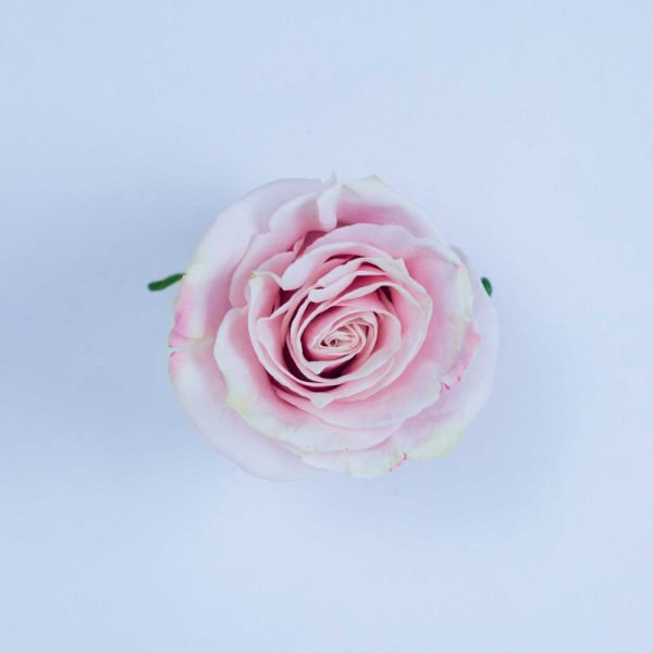 PINK MONDIAL