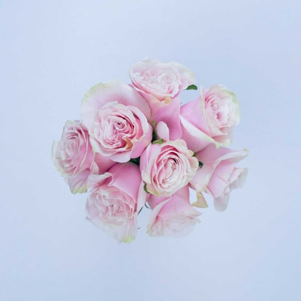 PINK MONDIAL - Image 4