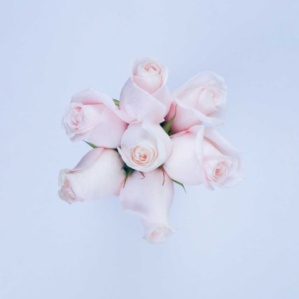 POMARROSA - Image 2