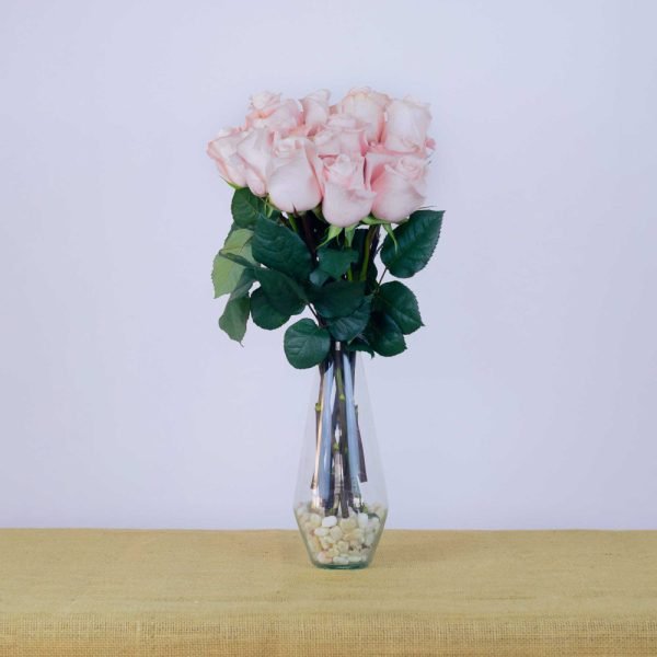 POMARROSA - Image 4