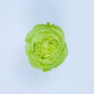 WASABI