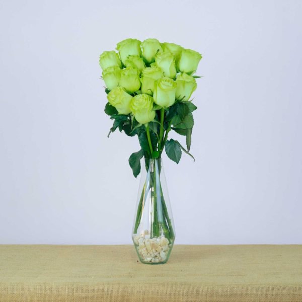 WASABI - Image 4